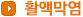 활액막염